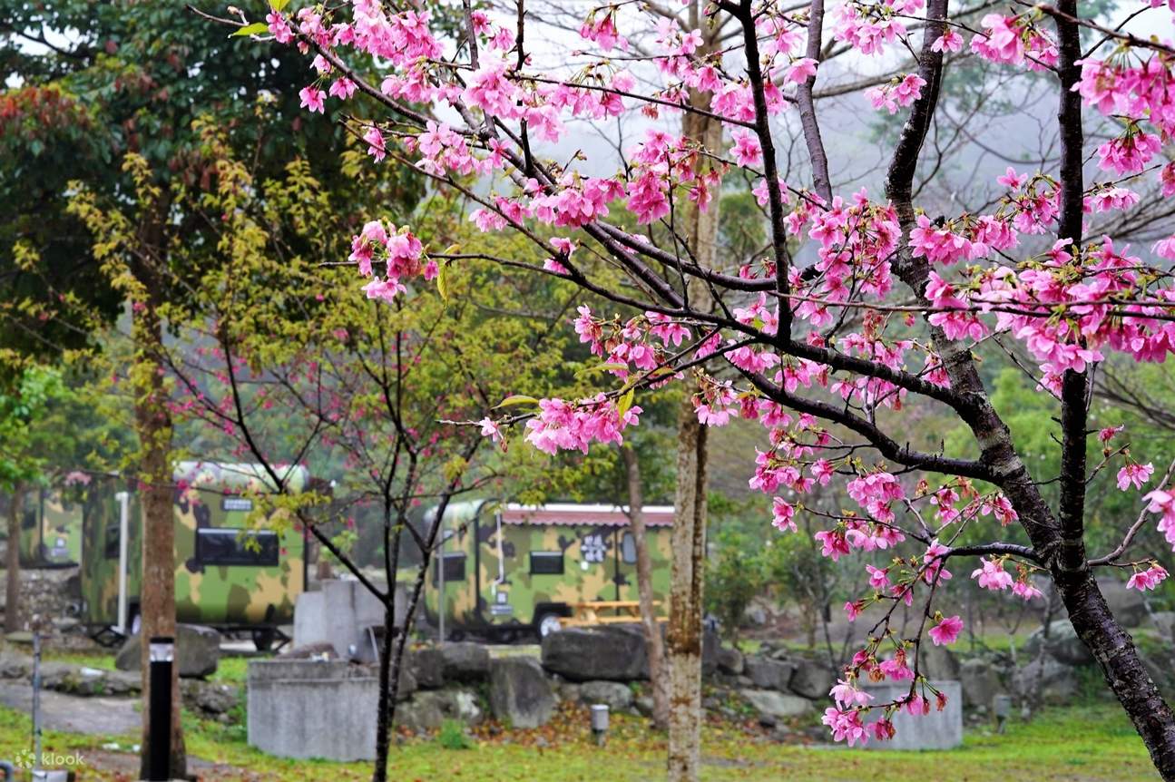 Die Schönheit von Jianshi